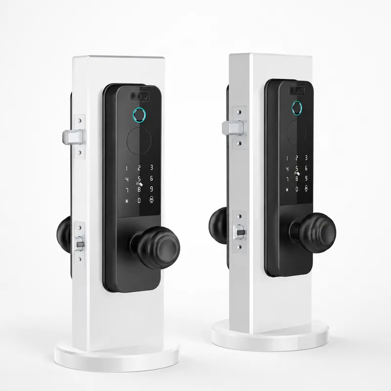 Smart Door Lock Wifi - Grenzüberschreitendes Holztürschloss mit Gesichtserkennung, Smart Lock,
